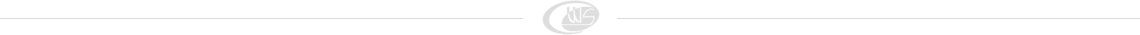 section_line